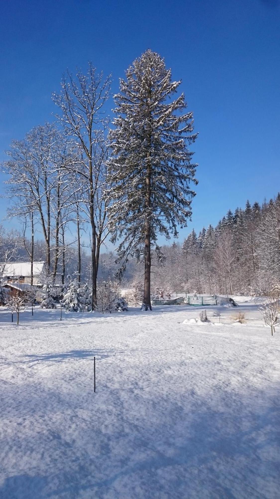 Penzion Baska Voda Cz Exterior foto